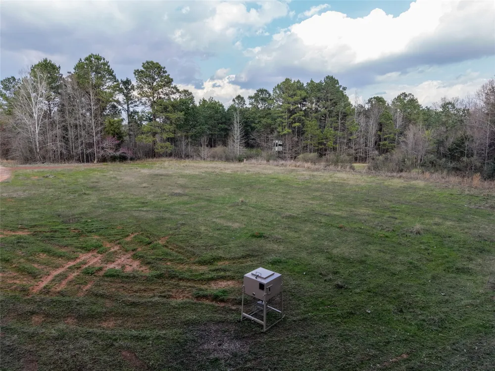 County Road 328 De Berry, TX 75639