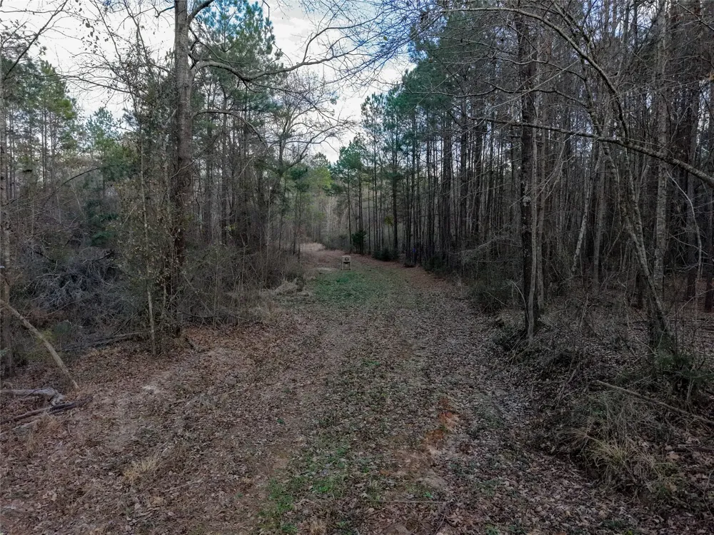County Road 328 De Berry, TX 75639