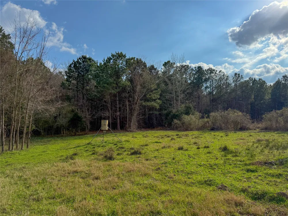 County Road 328 De Berry, TX 75639