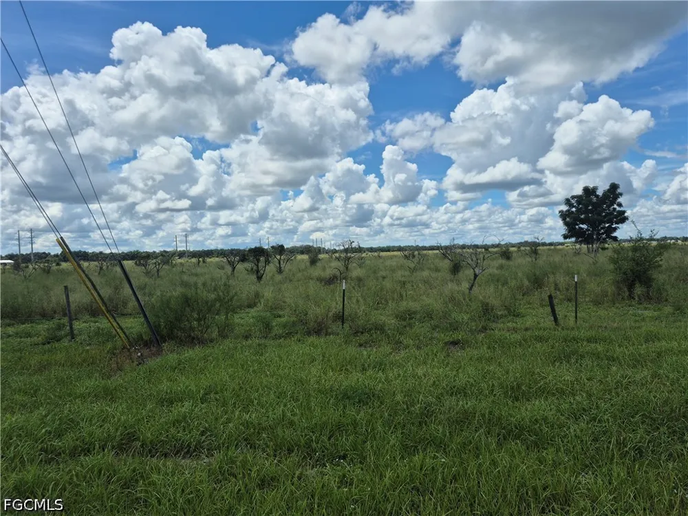 Roundtree Avenue Alva, FL 33920