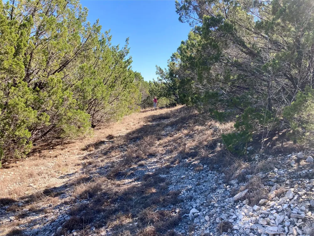 2428 Whitewater Drive Bertram, TX 78605