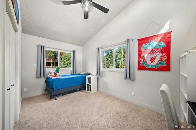 330 W Ridge Drive Woodland Park, CO 80863