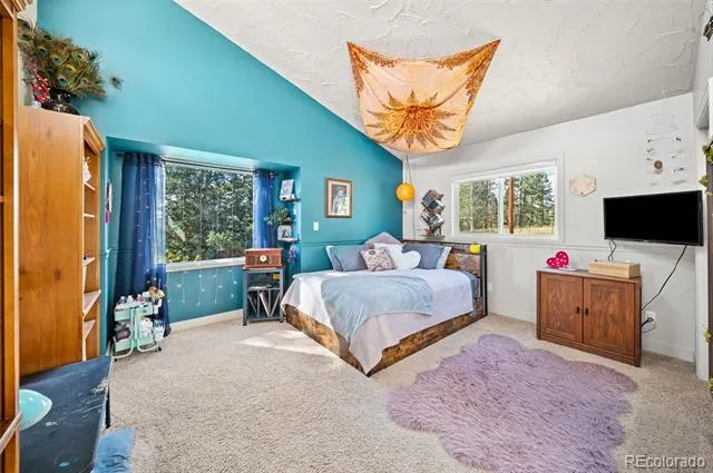 330 W Ridge Drive Woodland Park, CO 80863