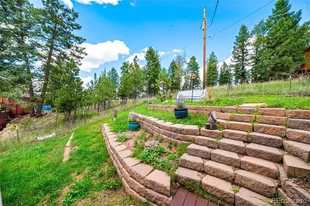 330 W Ridge Drive Woodland Park, CO 80863