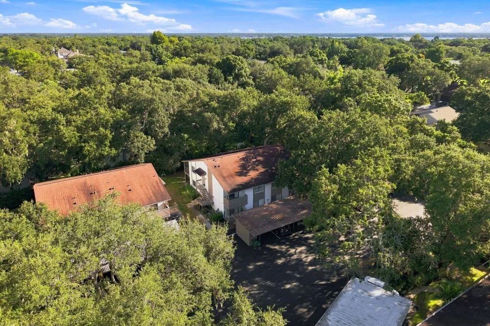 511 MISTLETOE COURT #A Safety Harbor, FL 34695