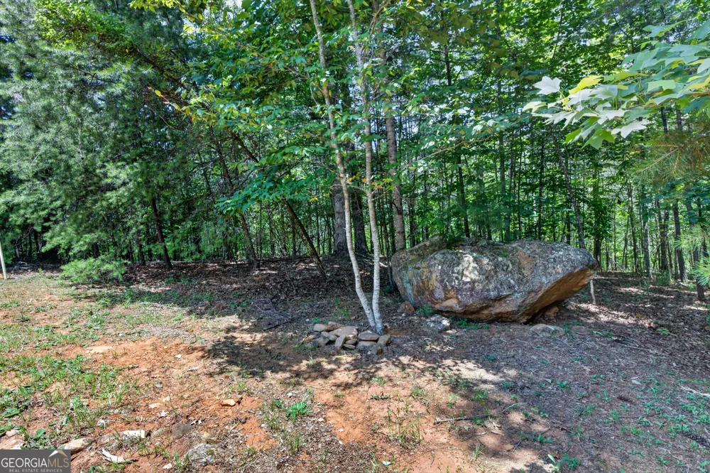 37 Gold Ditch RD Cleveland, GA 30528