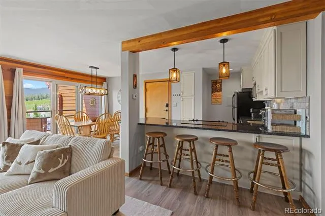 91300 Ryan Gulch Road #91314 Silverthorne, CO 80498