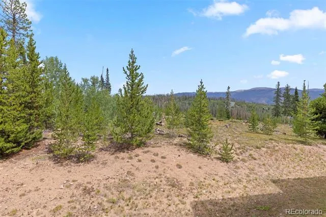 91300 Ryan Gulch Road #91314 Silverthorne, CO 80498