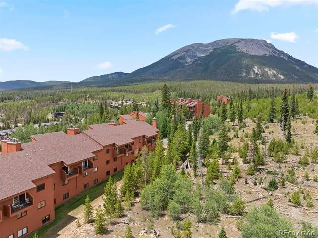 91300 Ryan Gulch Road #91314 Silverthorne, CO 80498