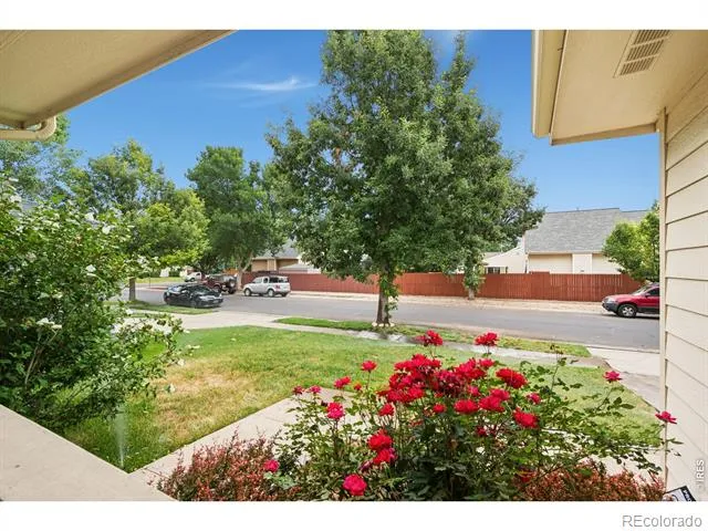 4015 Sunstone Way Fort Collins, CO 80525