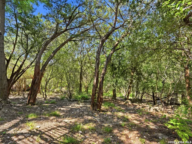 33 GREENS CLF San Antonio, TX 78216