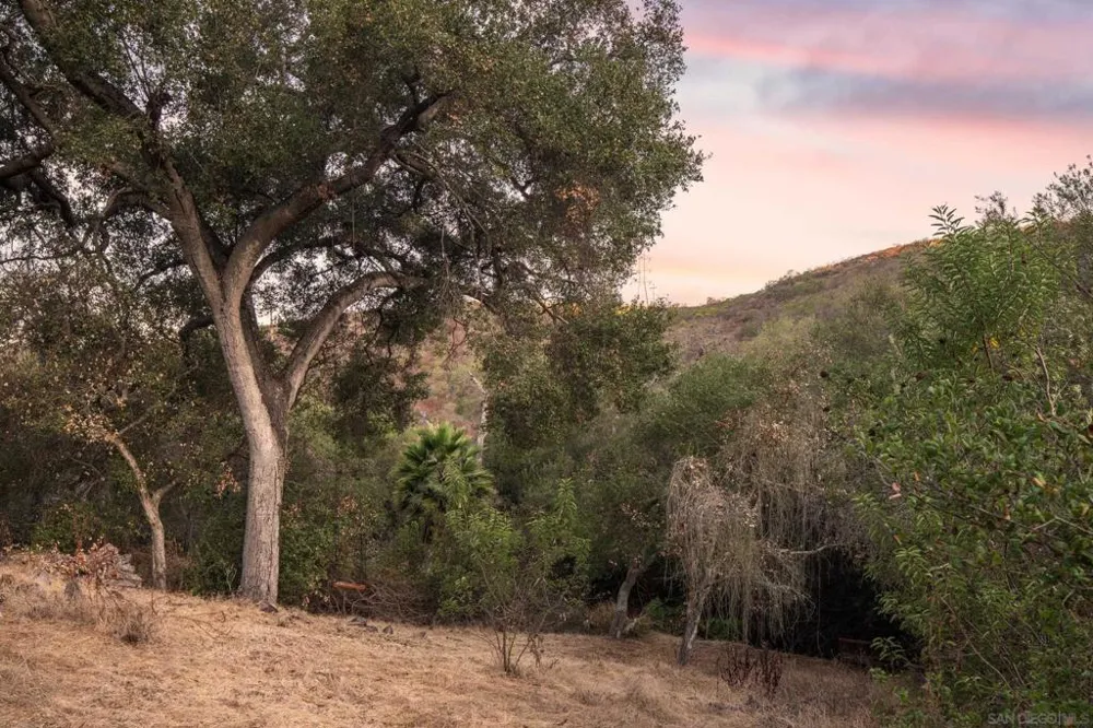4097 Canyon de Oro Encinitas, CA 92024