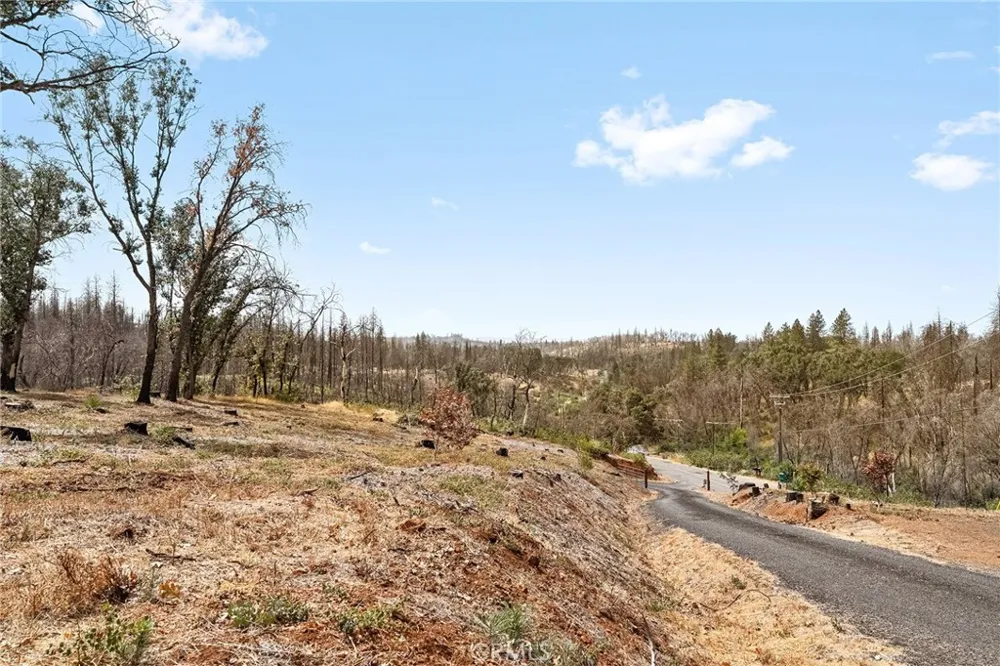 490 Vilas Road Cohasset, CA 95973