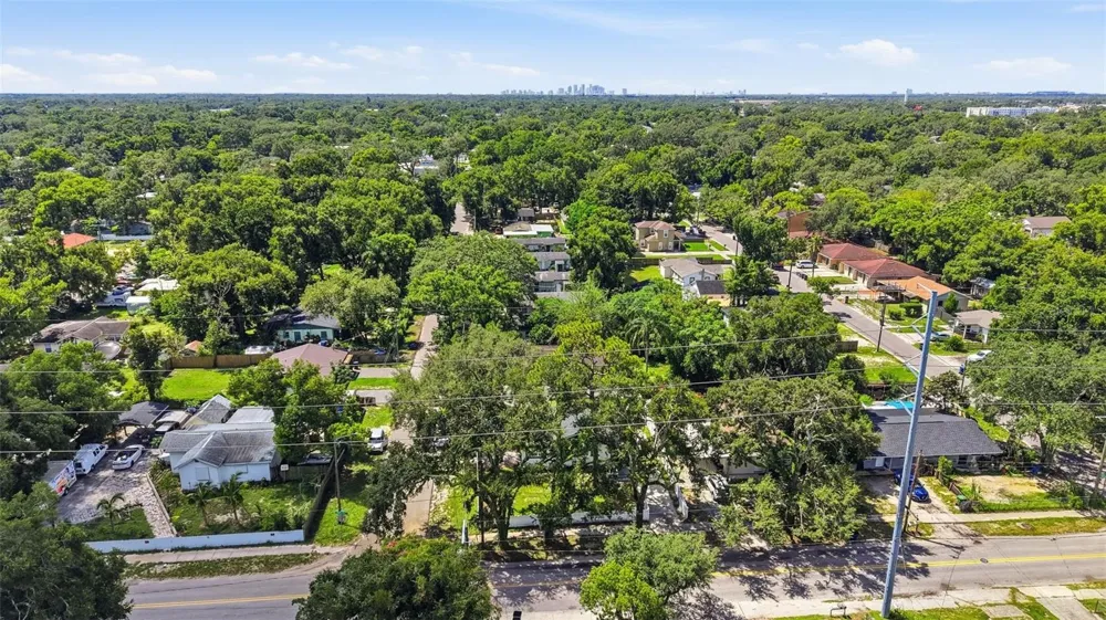 10124 HYACINTH AVENUE Tampa, FL 33612