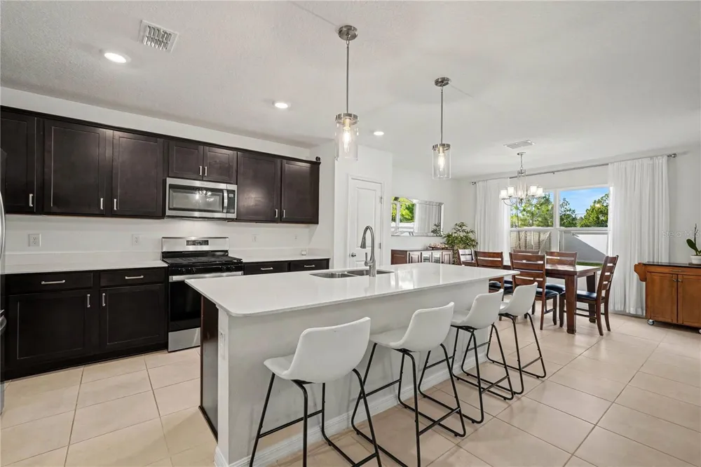20865 DRAKE ELM DRIVE Land O Lakes, FL 34638