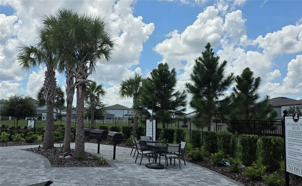 20865 DRAKE ELM DRIVE Land O Lakes, FL 34638