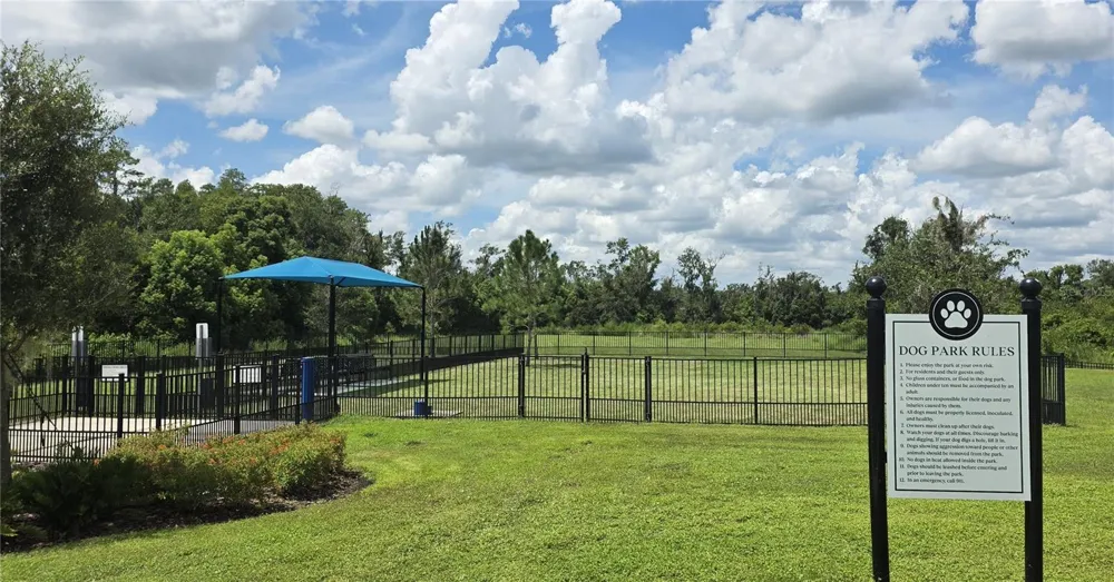 20865 DRAKE ELM DRIVE Land O Lakes, FL 34638