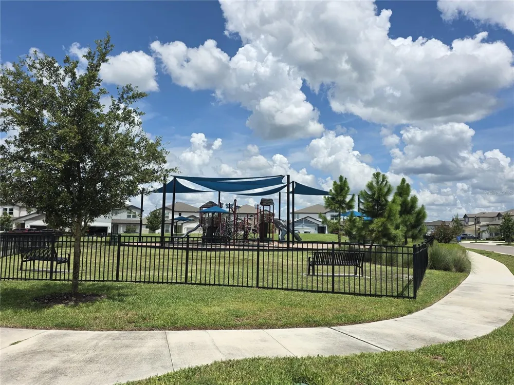 20865 DRAKE ELM DRIVE Land O Lakes, FL 34638