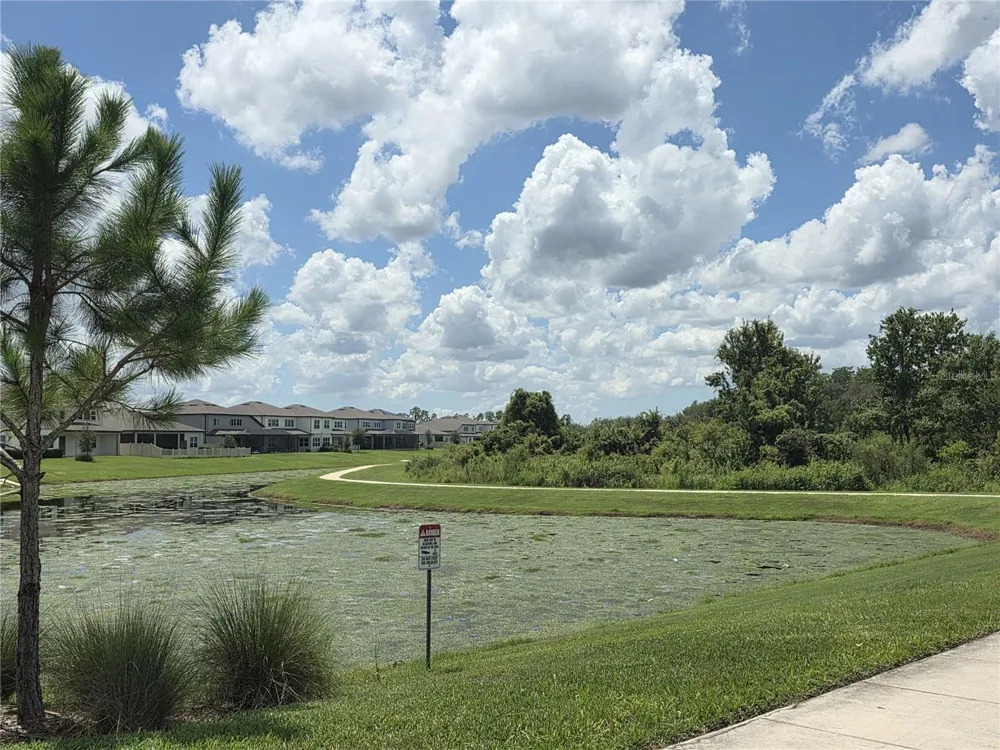 20865 DRAKE ELM DRIVE Land O Lakes, FL 34638