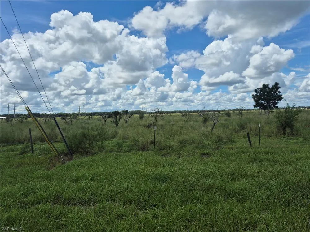 23041 Roundtree Avenue Alva, FL 33920