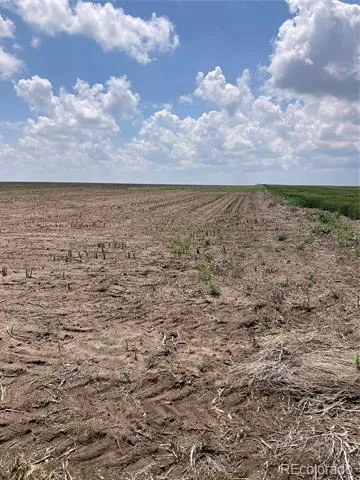 NE4 27 10s 45w Bethune, CO 80807