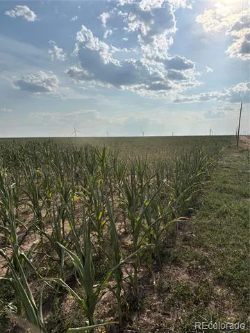 NE4 27 10s 45w Bethune, CO 80807