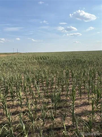 NE4 27 10s 45w Bethune, CO 80807