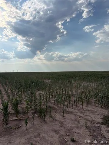 NE4 27 10s 45w Bethune, CO 80807
