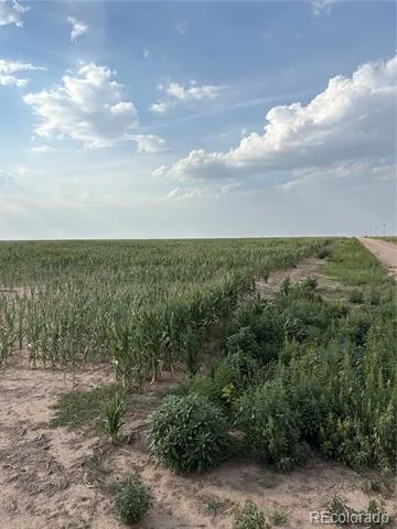 NE4 27 10s 45w Bethune, CO 80807