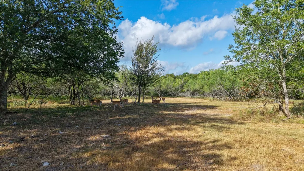 4 Tbd Mensik Rd Bryan, TX 77808