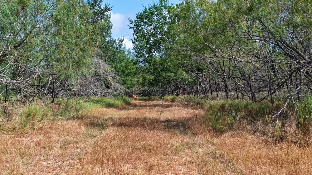 4 Tbd Mensik Rd Bryan, TX 77808