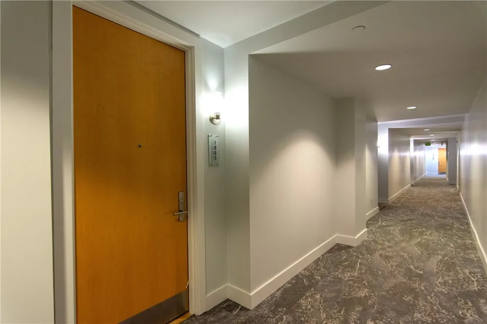 603 Davis Street #1005 Austin, TX 78701