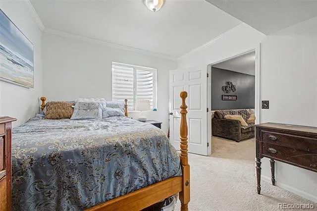 483 Stetson Court Brighton, CO 80601