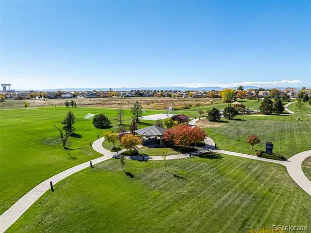 483 Stetson Court Brighton, CO 80601