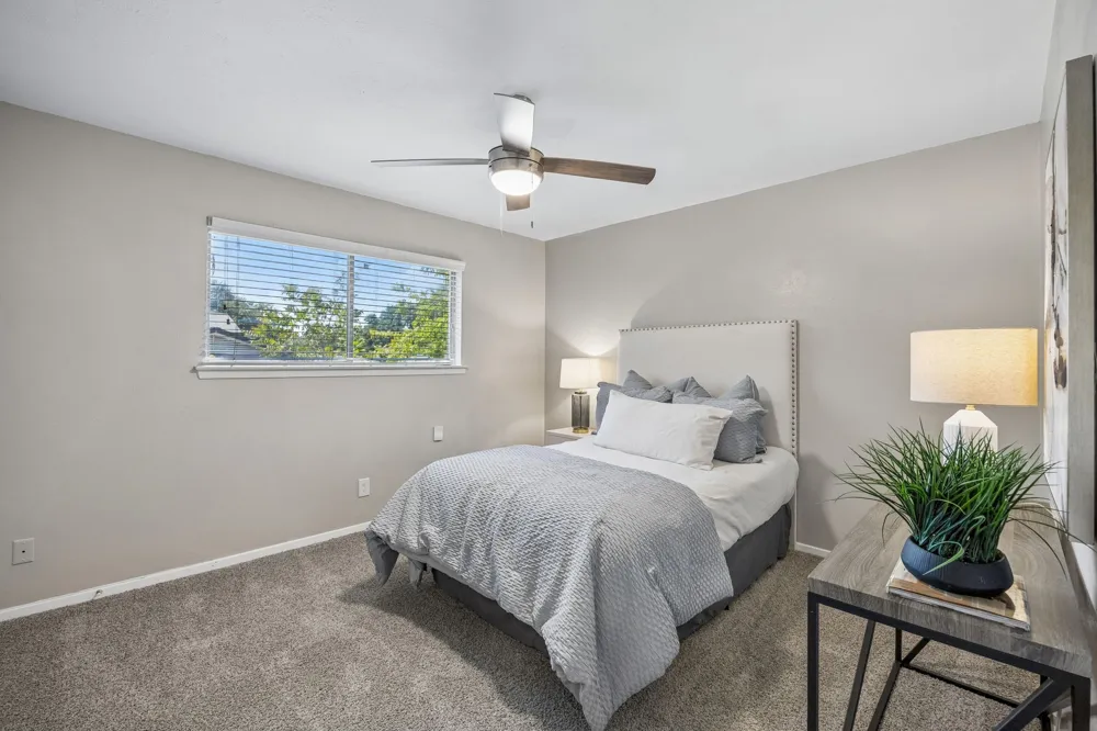 15513 El Estado Drive Dallas, TX 75248