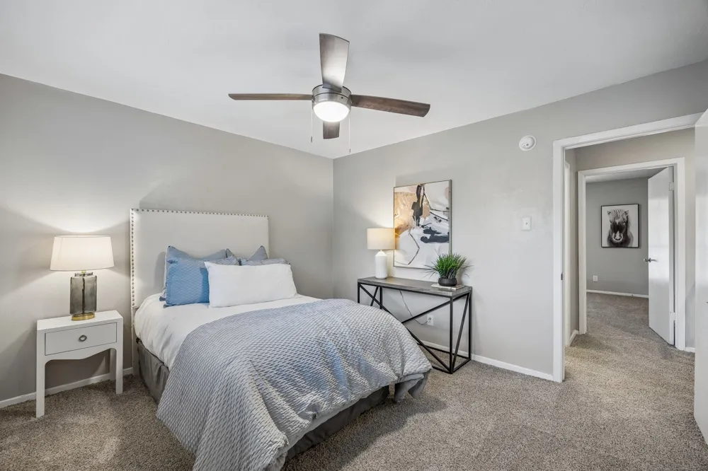 15513 El Estado Drive Dallas, TX 75248