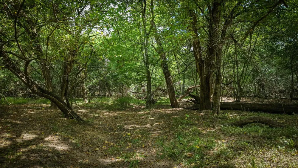 2 Tbd Mensik Rd Bryan, TX 77808