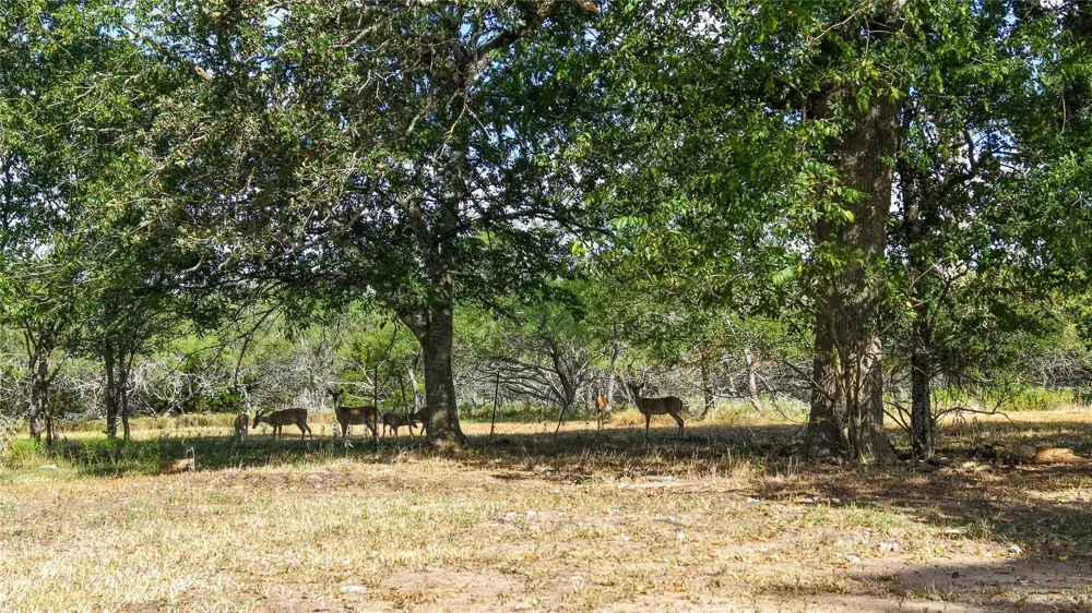2 Tbd Mensik Rd Bryan, TX 77808