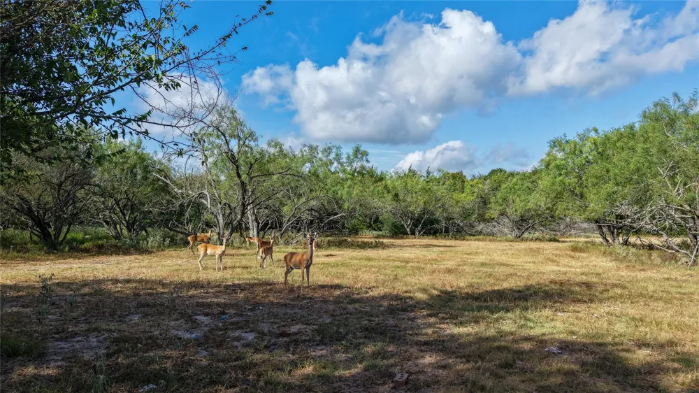 3 Tbd Mensik Rd Bryan, TX 77808