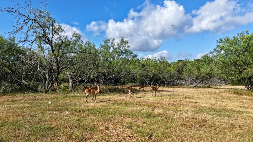 1 Tbd Mensik Rd Bryan, TX 77808