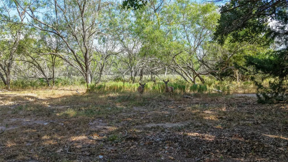 1 Tbd Mensik Rd Bryan, TX 77808