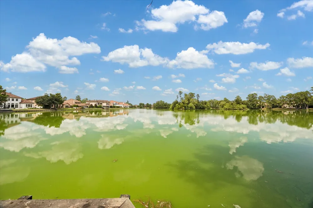 19515 Juniper Breeze Lane Spring, TX 77379