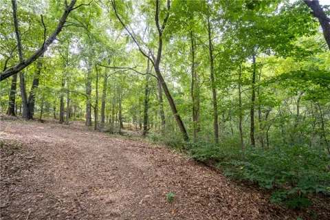 Cook Lane