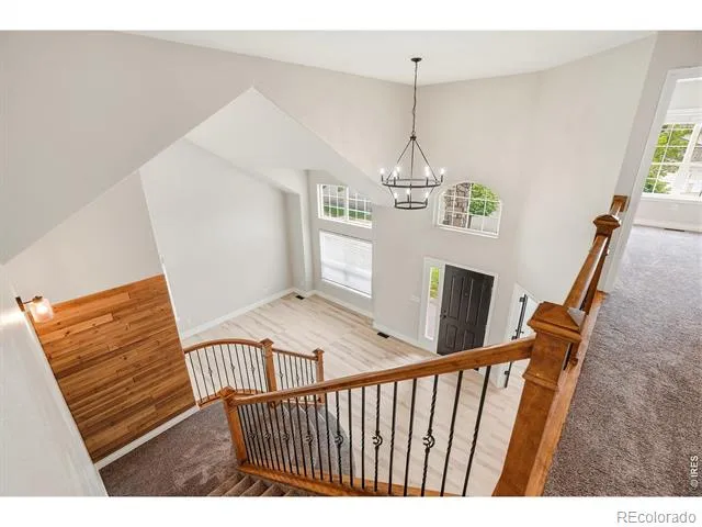 312 Habitat Cove Windsor, CO 80550