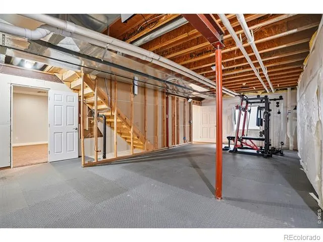312 Habitat Cove Windsor, CO 80550