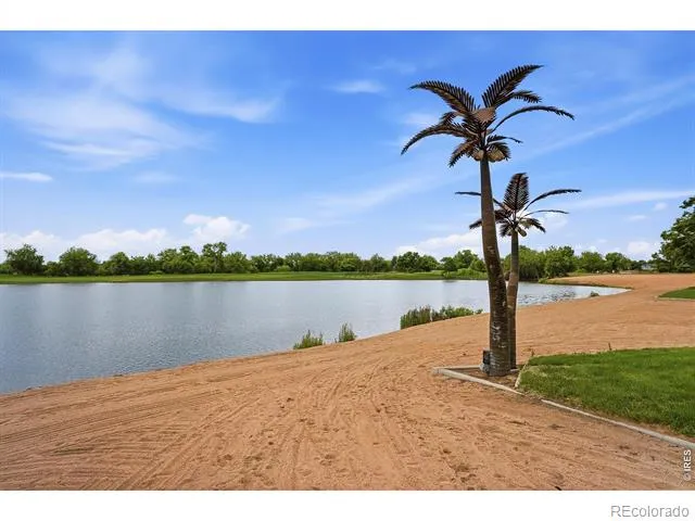 312 Habitat Cove Windsor, CO 80550