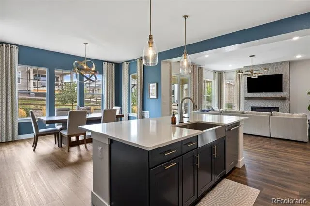 4616 Girardot Point Castle Rock, CO 80104