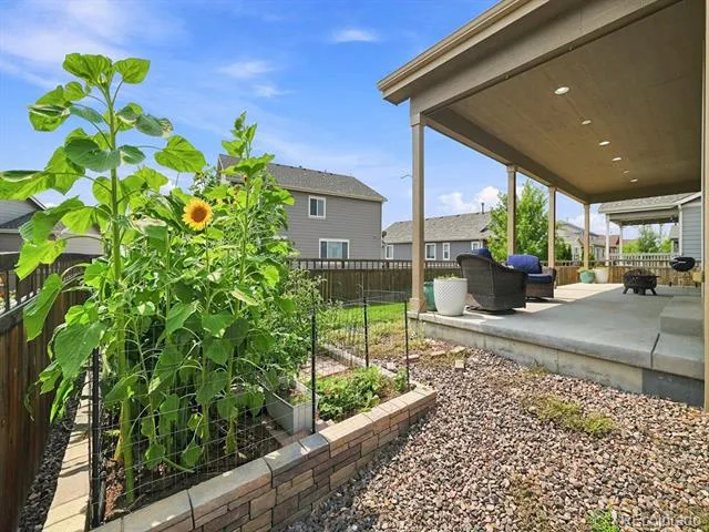 6500 Agave Avenue Castle Rock, CO 80108