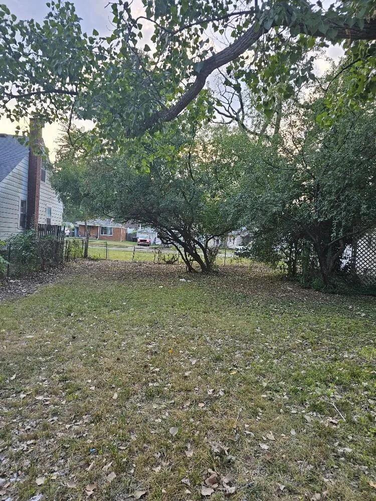 20426 Salem Detroit City, MI 48219