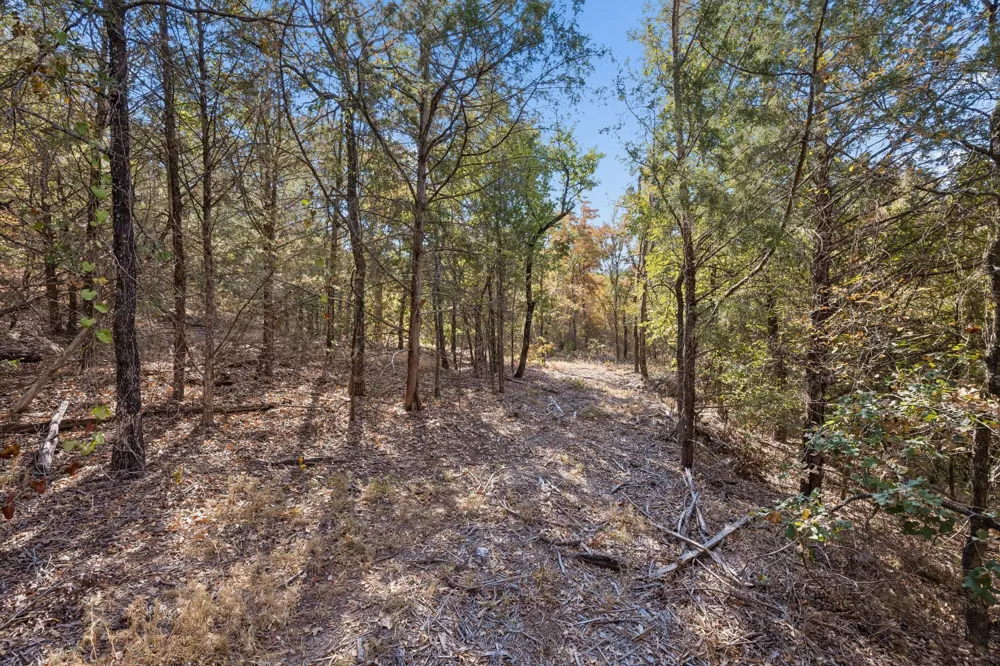 2301 Moseley (Land) Road Cross Roads, TX 76227